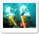 bali ocean walker