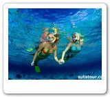 bali snorkeling