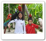 bali bird park