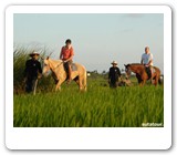 horse riding