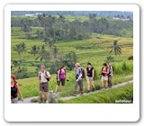 trekking jatiluwih