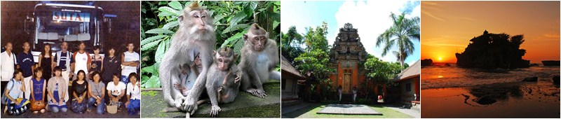 Ubud Monkey Forest | Ubud Palace | Tanah Lot Temple