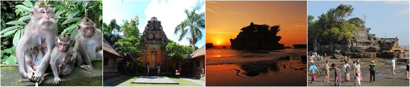 Ubud Monkey Forest | Ubud Palace | Tanah Lot Temple