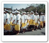 bali festival and ceremonies