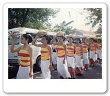 bali festival and ceremonies