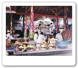 bali festival and ceremonies