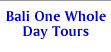 bali one whole day tours