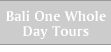 bali one whole day tours