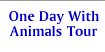 one day with animal tour