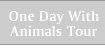 one day with animal tour