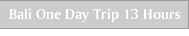bali one day trip 13 hours
