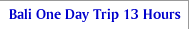 bali one day trip 13 hours