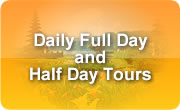 daily full day and half day tours