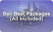 bali best packages
