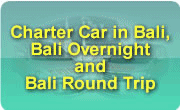 special offer van charter