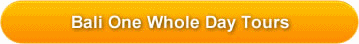 BALI ONE WHOLE DAY TOURS