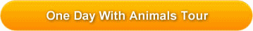 ONE DAY WITH ANIMALS TOUR